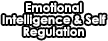 Emotional Intelligence & Self Regulation | HeartFirst Education