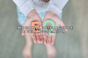 Emotional Intelligence & Self Regulation | HeartFirst Education Core Value