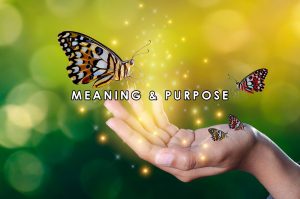 Meaning & Purpose | HeartFirst Education Core Value