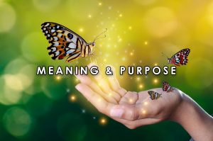 Meaning & Purpose | HeartFirst Education Core Value