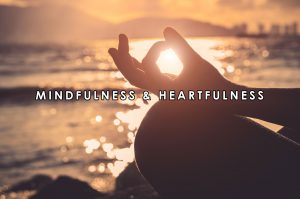 Mindfulness & Heartfulness | HeartFirst Education Core Value