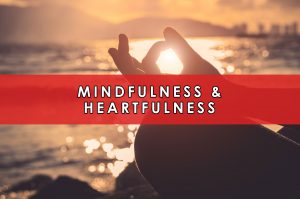 Mindfulness & Heartfulness | HeartFirst Education Core Value