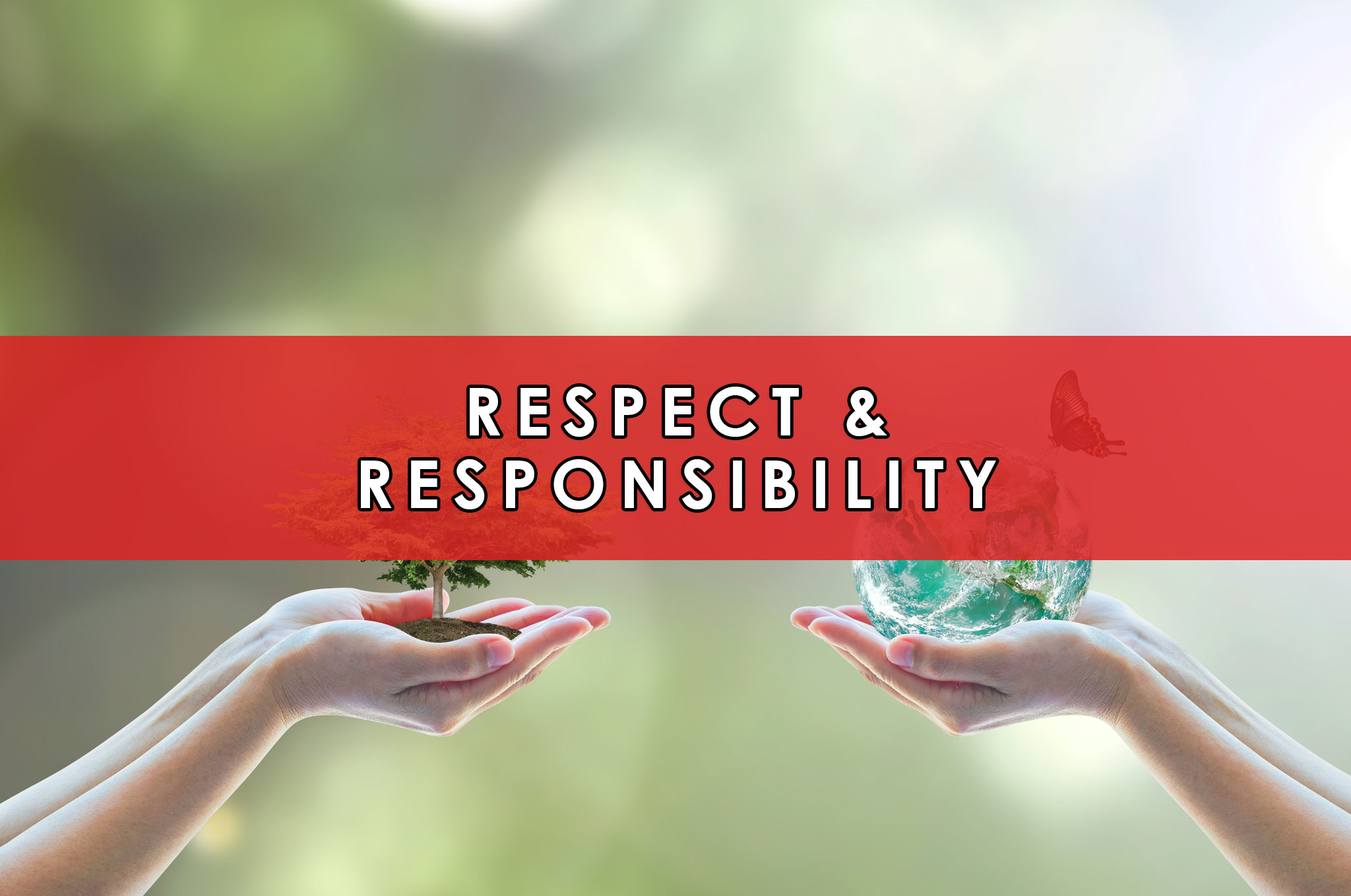 essay about respect and responsibility